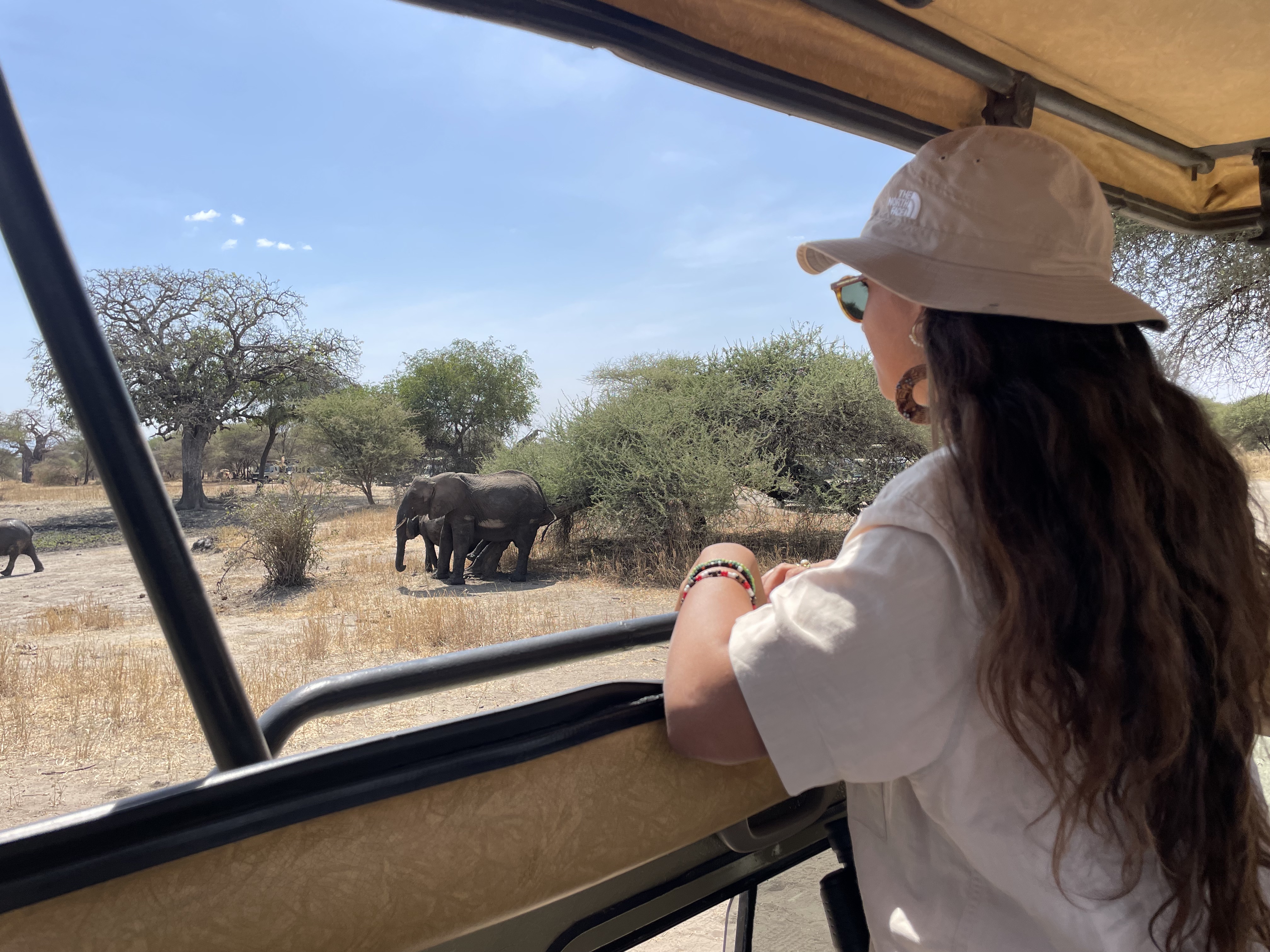 טנזניה ספארי